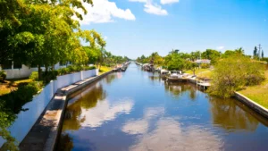 A lake with greenery on its sides in Cape Coral.